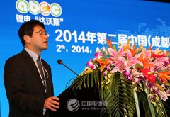 姚振輝：長安新能源汽車研發情況與市場布局