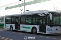 新能源車能否為中國自主品牌另辟蹊徑？