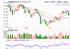 拓邦股份：動力電池業務前景可期 機構“興趣濃厚”
