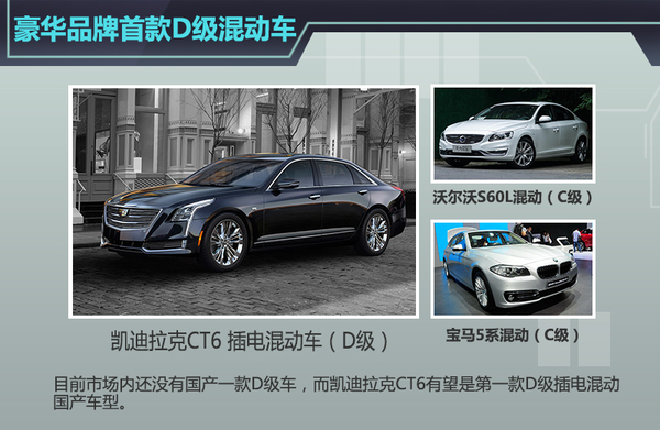 凱迪拉克大型新能源車將國(guó)產(chǎn) 為中國(guó)打造