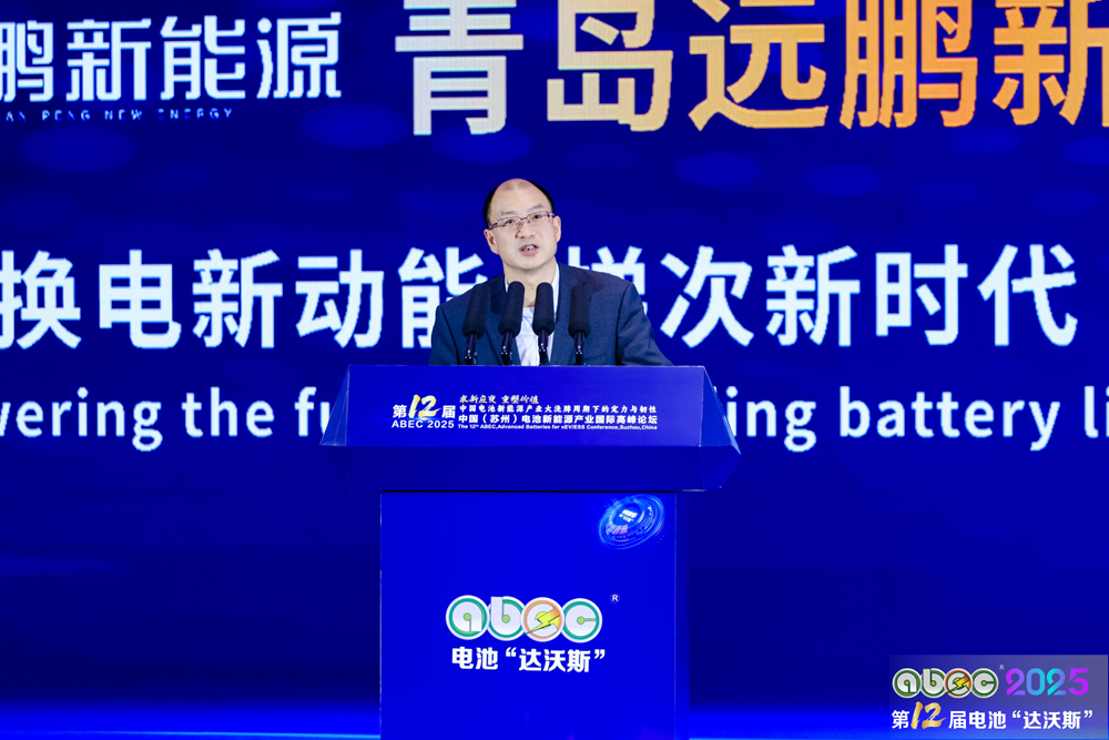 中國有色金屬工業(yè)協(xié)會(huì)鋰業(yè)分會(huì)副會(huì)長張江峰