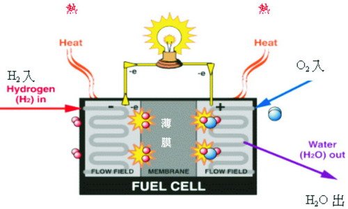 燃料電池