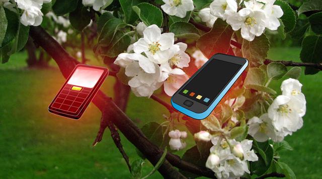 國產(chǎn)手機新品集體發(fā)“春”季：4G催壓 繞開蘋果