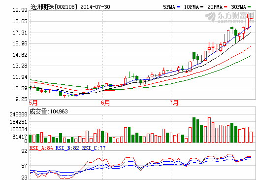 滄州明珠1-6月?tīng)I(yíng)收增長(zhǎng)13.13% 鋰電隔膜銷量增加