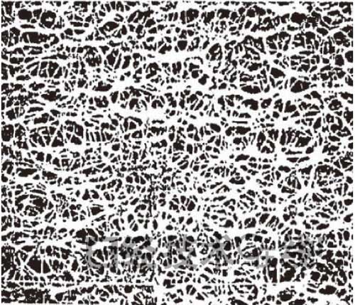 1426834817584089.jpg 150309li5.jpg