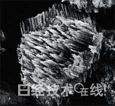 鋰電池開發史（六）兼顧安全性與大容量，看清正極材料的“貓膩”(第1頁) -  7.jpg