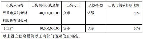 公司及各投資人、股東的投資規模、方式和持股比例 公司及各投資人、股東的投資規模、方式和持股比例