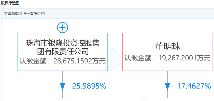 銀隆新能源發布聲明:股東董明珠股權未發生任何變更 銀隆新能源發布聲明:股東董明珠股權未發生任何變更