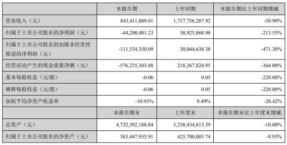 ST安凱主要會計(jì)數(shù)據(jù)和財務(wù)指標(biāo)