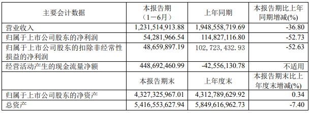 容百科技 容百科技