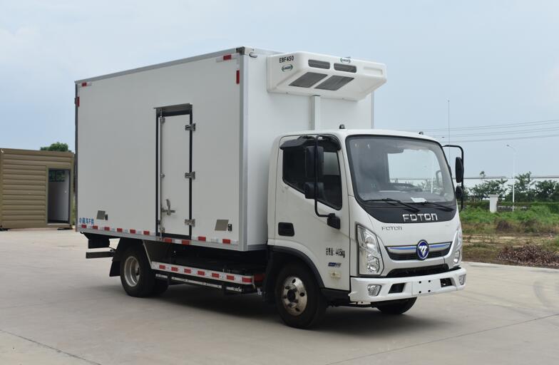 新能源汽車,純電動汽車,燃料電動汽車