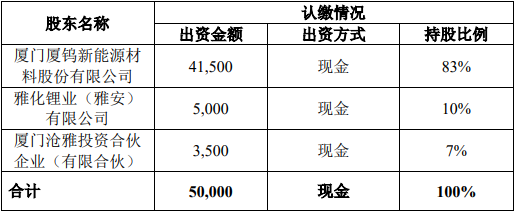 項目公司注冊資本、股權結構（單位/萬元）
