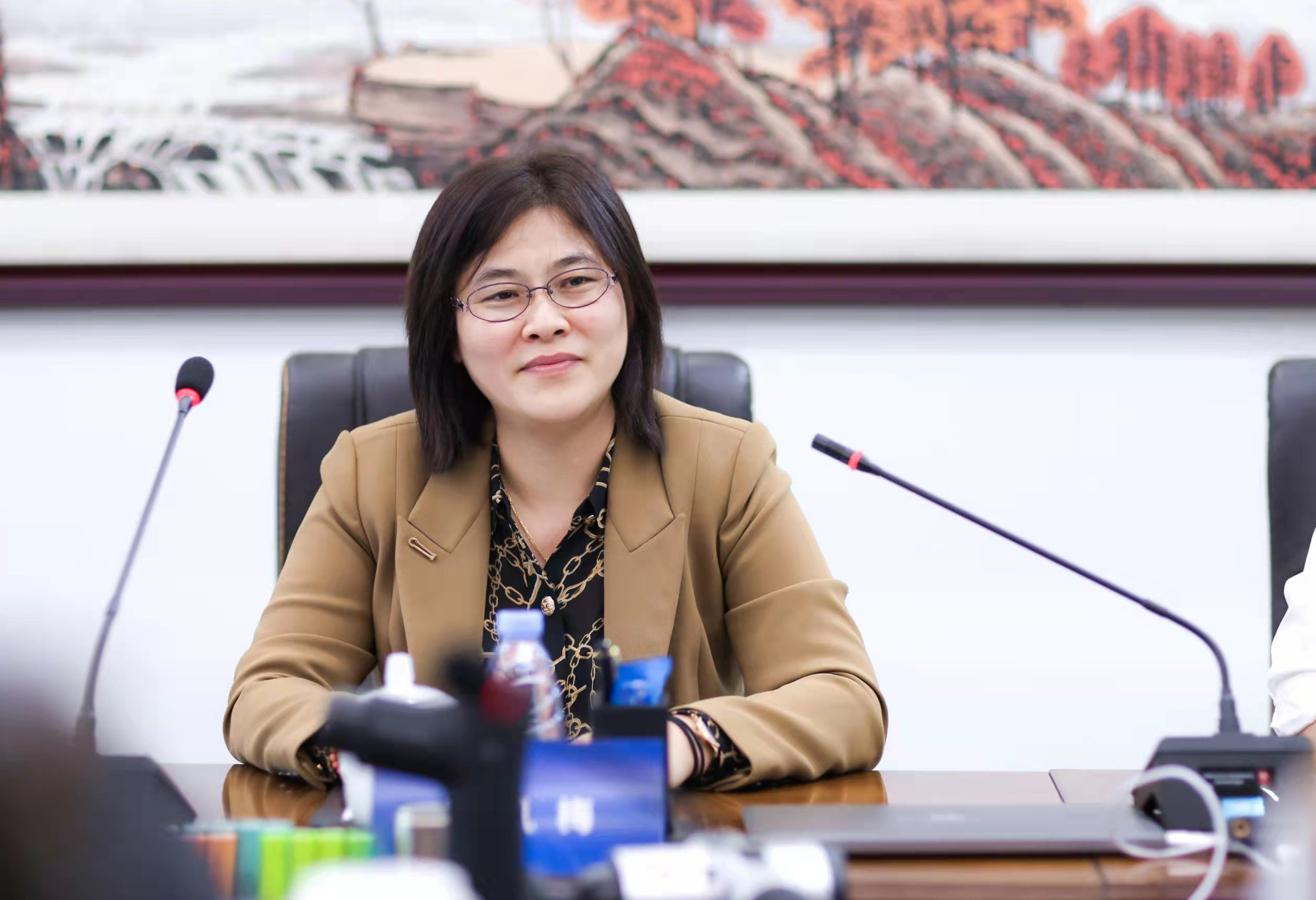 深圳市比克動力電池有限公司副總裁李鳳梅