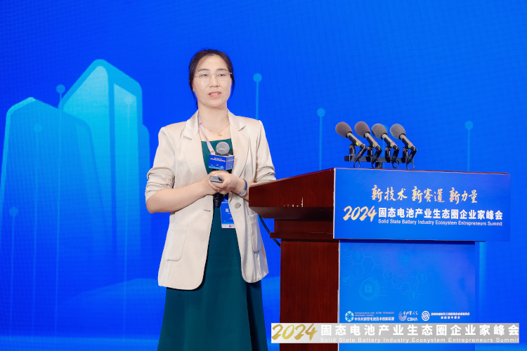 諾德新材料股份有限公司研究院院長(zhǎng)、博士丁瑜