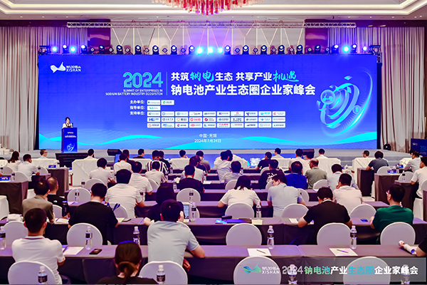 2024中國（無錫）鈉電池產業(yè)生態(tài)圈企業(yè)家峰會現場